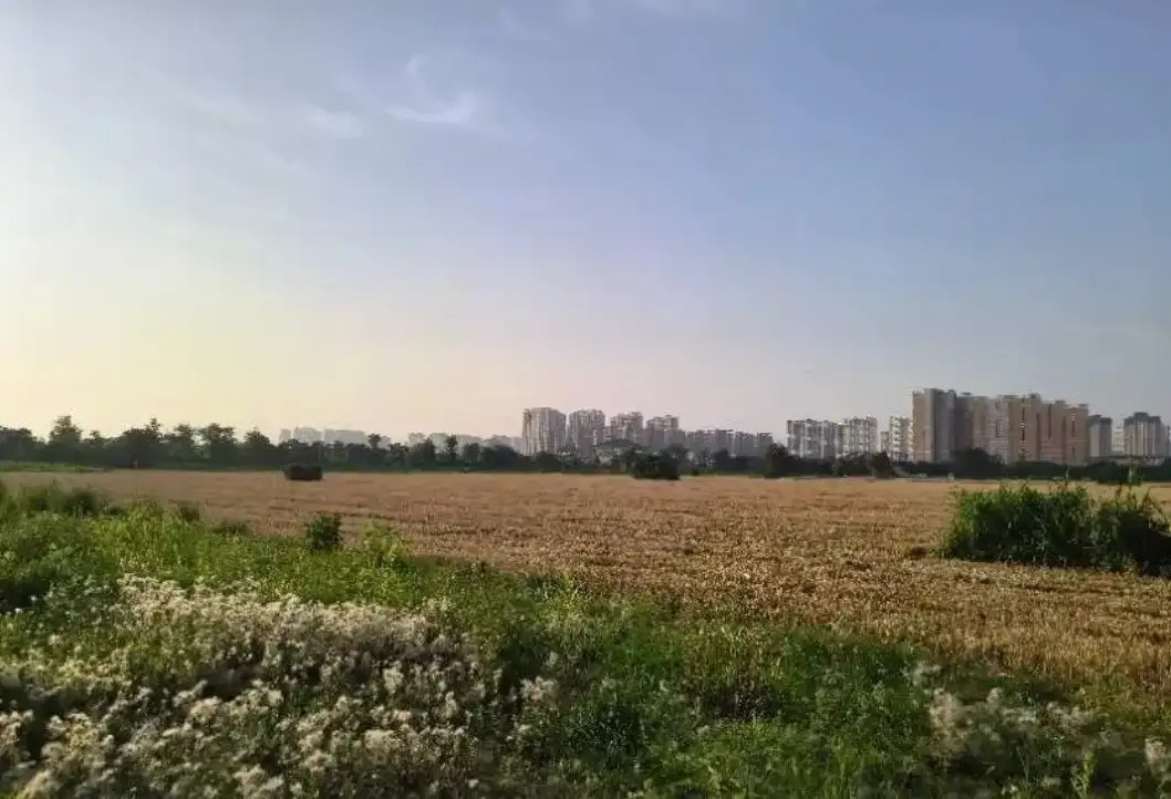 炒股的人,不会与这个社会脱节